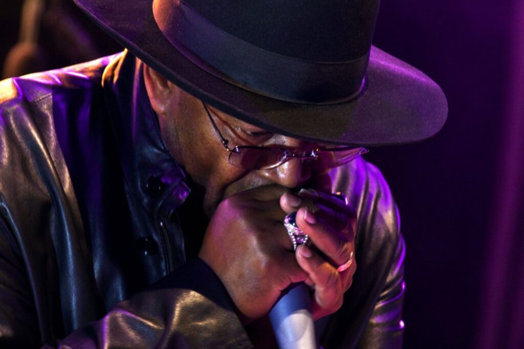 Torrita Blues Festival
