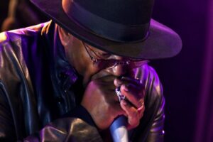 Torrita Blues Festival